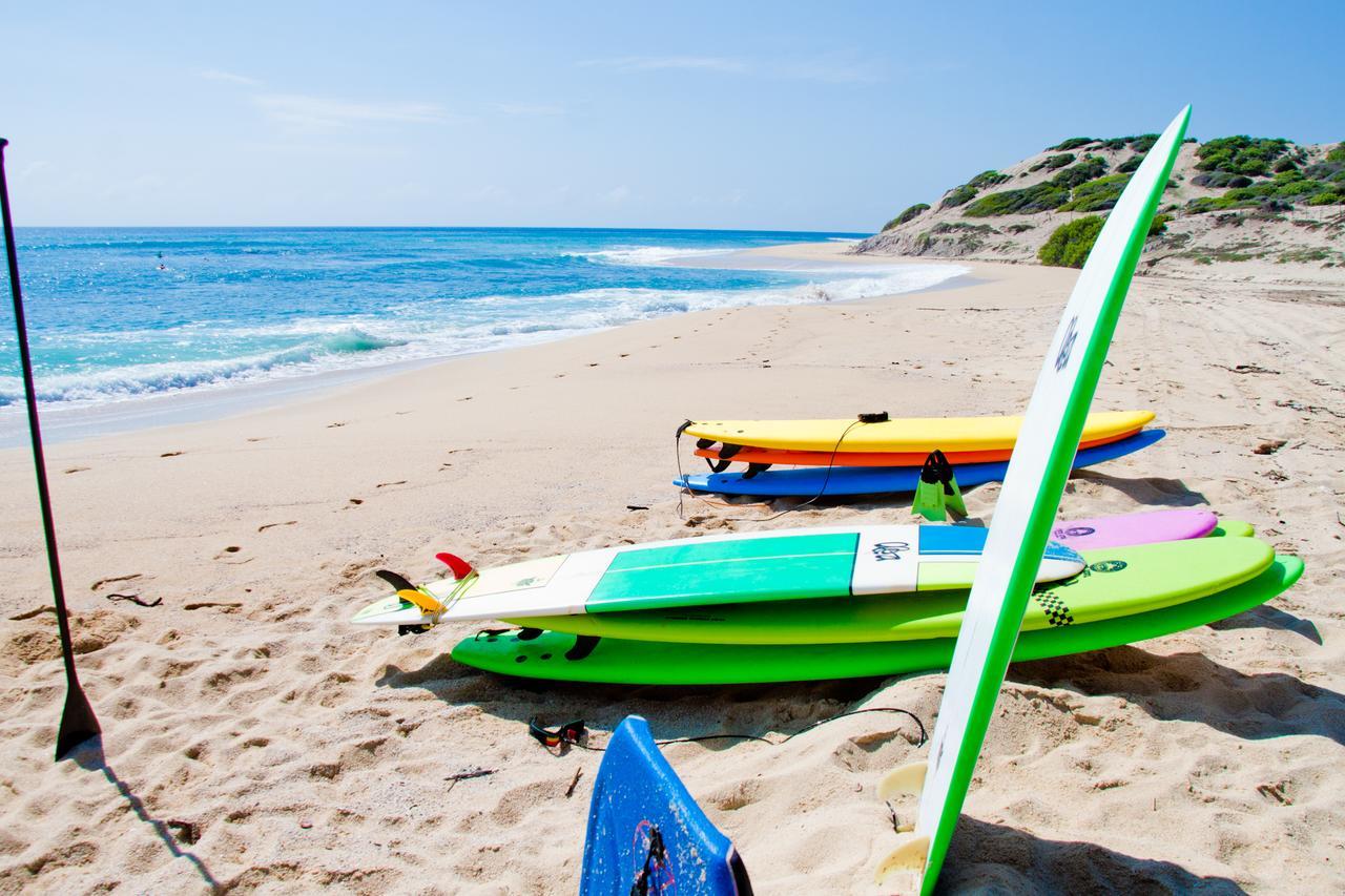 Surf Hostel Cabo "The Riptide" San José del Cabo 외부 사진
